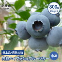 【ふるさと納税】 ブルーベリー 冷凍 完熟 大粒 甘い 人気 800g 400g×2パック 八ヶ岳南麓育ち 送料無料