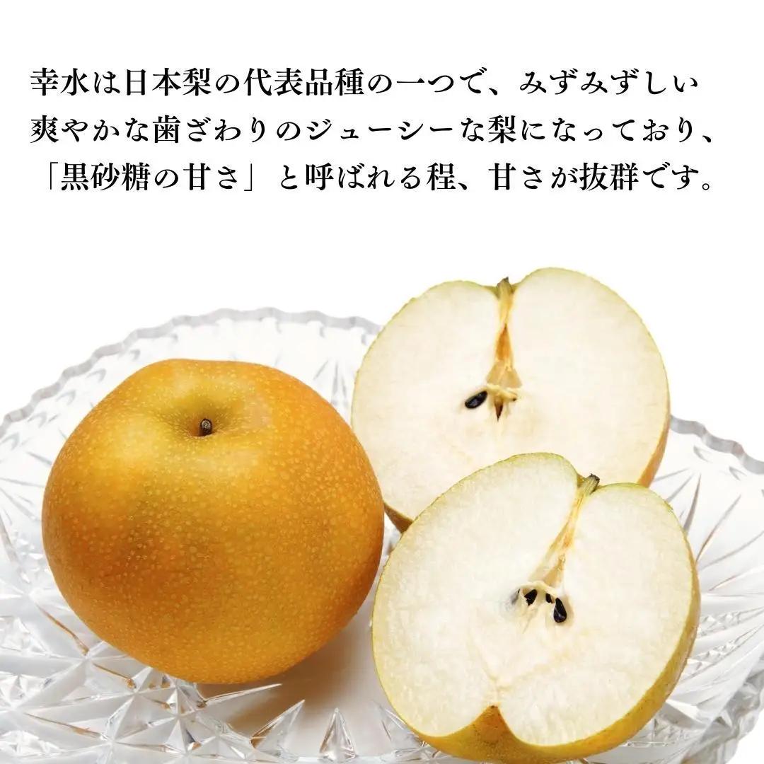 【2026年8月中旬発送開始】 茨城県産 梨 「 幸水 」 約 5kg 12玉 ～ 16玉 【茨城県共通返礼品／常陸太田市】 桧山果樹園 農家直送 フルーツ 甘い 直送 茨城 限定 ギフト 梨 幸水 
