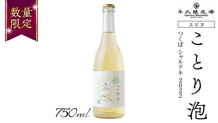 【 数量限定 】 エピヌ 「 ことり 泡 」 つくば シャルドネ 2022 茨城県産 牛久醸造場 日本ワイン スパークリングワイン 白ワイン レモン ライム 750ml × 1本 やや辛口 ミディアムボディ お酒 贈り物 [BJ043us]