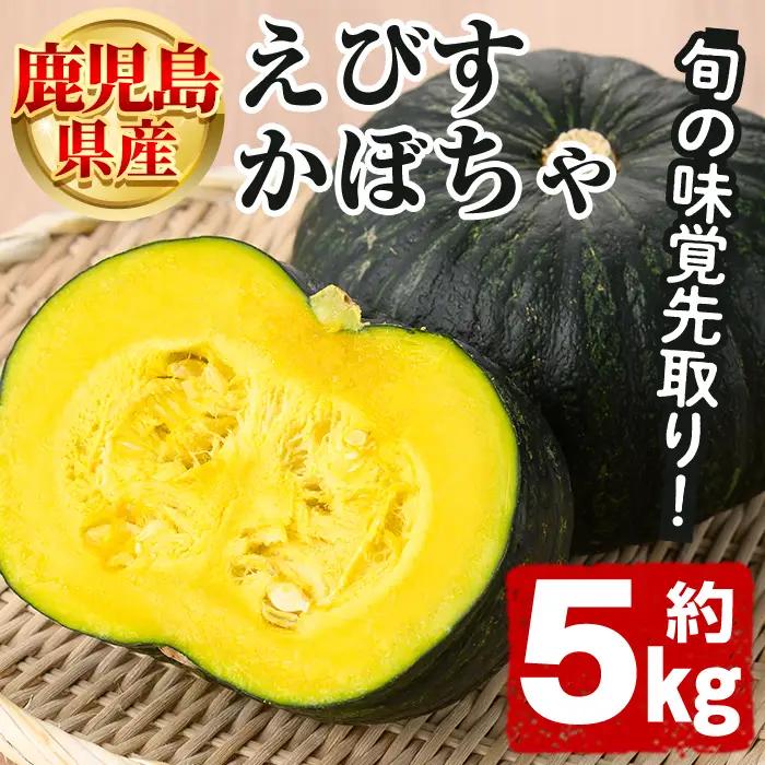 ＜先行予約受付中！2026年5月上旬以降順次発送予定＞鹿児島県産 えびすかぼちゃ(約5kg) 国産 野菜 かぼちゃ カボチャ 南瓜 煮物 天ぷら バーベキュー BBQ スイーツ お菓子 期間限定【松永青果】akn053-04
