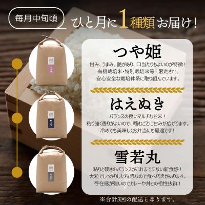 ふるさと納税 庄内町 <4月中旬発送>吉祥ファーム 庄内町産おいしい米3か月定期便!(入金期限:2026.3.25) |  | 01