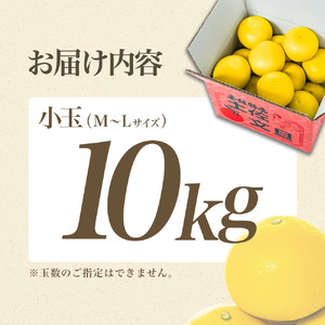 【先行予約】【日本ギフト大賞2024受賞】 園主こだわりの土佐文旦 約10kg 小玉（L?Mサイズ） 高知県土佐市 【やの一果彩】 [BQAC018]