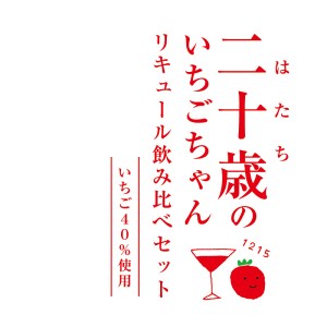 二十歳のいちごちゃんリキュール飲み比べ2本セット N085-YZA727