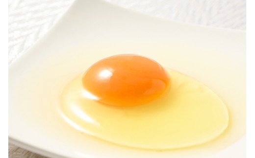 【12ヶ月定期便】料理人も「うまい！」と絶賛 昔の味たまご 20個入り（18個＋割れ補償2個）×12か月| 卵 鶏卵 玉子 たまご 生卵 国産 濃厚 コク 卵かけご飯 旨味 旨み※着日指定不可