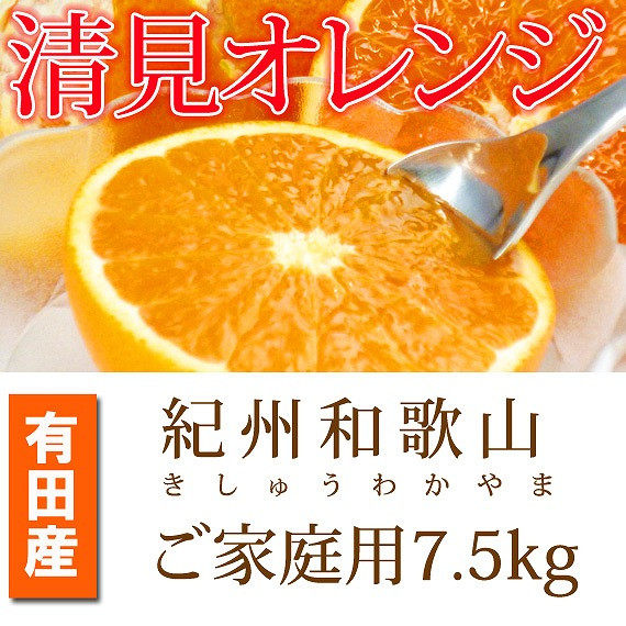 
【ご家庭用訳アリ】紀州有田産清見オレンジ　7.5kg
