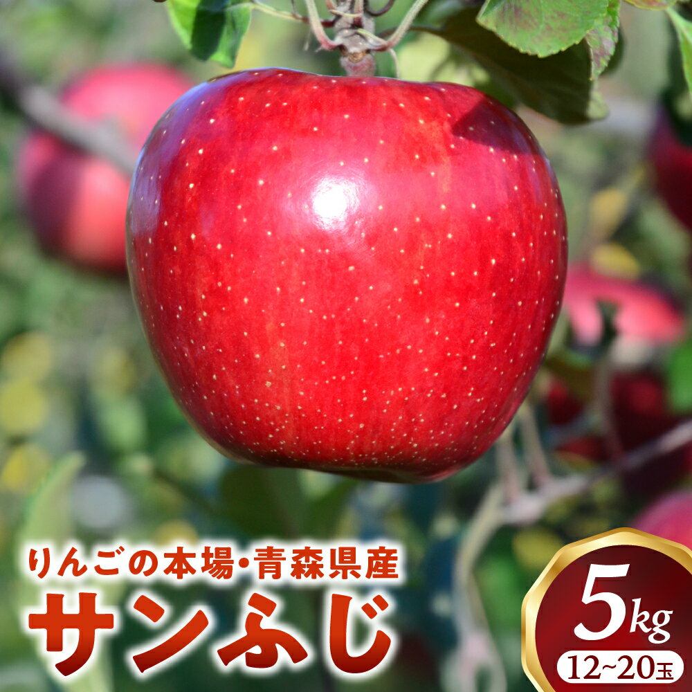 人気ナンバー1 りんご サンふじ 14〜20玉 約5kg(12月中旬以降発送分)