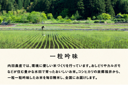 【令和5年産】福井県産 内農米 コシヒカリ 無洗米 5kg