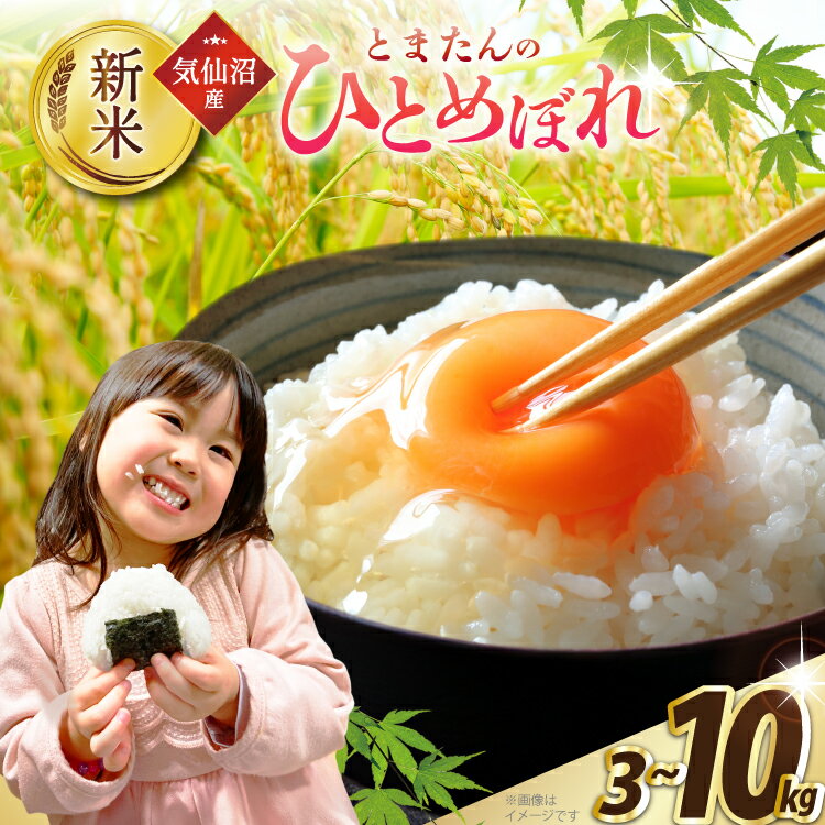 【ふるさと納税】 米 令和7年産 宮城県産 とまたんのひとめぼれ 【選べる内容量】 [サンフレッシュ小泉農園 宮城県 気仙沼市 20565679] 新米 ひとめぼれ ブランド米 白米 精米 ご飯 ごはん コメ こめ お米 小分け 家庭用 3kg 5kg 10kg