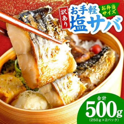 ふるさと納税 泉佐野市 お手軽 訳アリ塩サバ500g