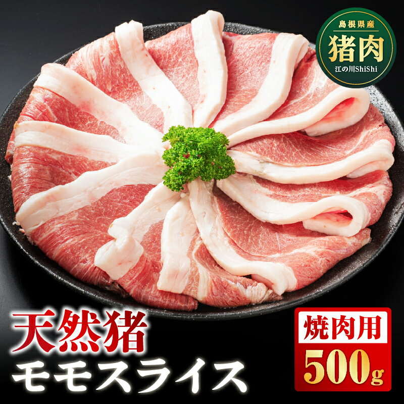 【ふるさと納税】天然猪 江の川shishi 猪モモスライス 焼肉用 500g （ 2～3人前 ）【AI-6】｜送料無料 国産 ジビエ 天然ジビエ 天然猪 猪肉 イノシシ肉 モモ肉 お肉 肉 スライス モモ モモスライス 焼肉 焼肉用｜