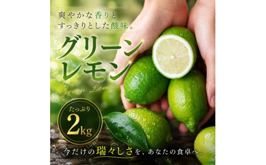 【選び抜いた一箱】 鮮烈な酸味 【グリーンレモン】 2kg 愛媛県産 【2026年9月下旬頃から順次発送】 | れもん レモン lemon 檸檬 訳あり フルーツ 柑橘 果物 おすすめ お勧め お取り寄せ ギフト 愛媛県 松山市