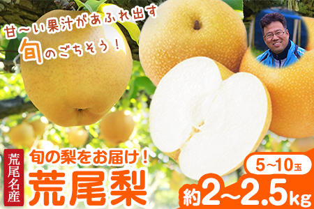 【先行予約】目野果実直売所 荒尾梨 約2-2.5kg(5～10玉前後)  期間限定 熊本県 荒尾市産 なし フルーツ 果物 新鮮 《7月下旬-10月上旬頃出荷》 美味しい梨 旬の梨 ジューシー梨 フルーツ梨