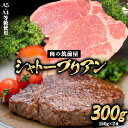 【ふるさと納税】A4・A5等級のみ使用 博多和牛 シャトーブリアン 300g（150g×2枚）ヒレ 希少部位《30日以内に出荷予定(土日祝除く)》博多和牛 小竹町　肉の筑前屋　牛肉