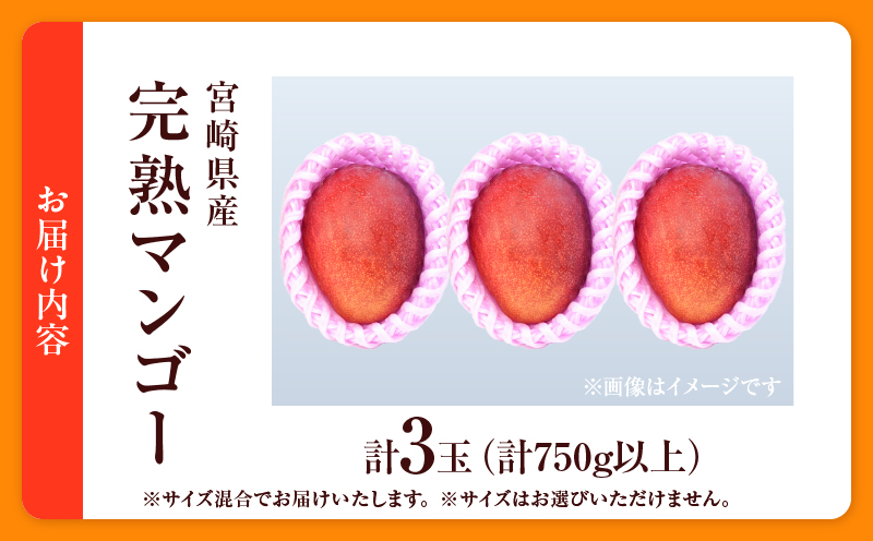 数量限定 宮崎県産 完熟マンゴー 3玉 計750g以上 期間限定 フルーツ スイーツ 果物 くだもの 食品 グルメ デザート 国産 産地直送 人気 おすすめ おやつ 高級 ご褒美 贅沢 贈り物 ギフト