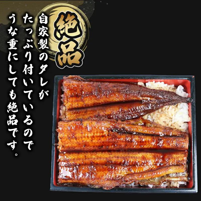 うなぎ蒲焼き170g~180g×3尾河野鮮魚店(蒲焼たれ3袋付)【D038-177004】