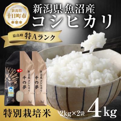ふるさと納税 十日町市 魚沼産 コシヒカリ 特別栽培米 精米 4kg 産地直送 新潟県十日町市