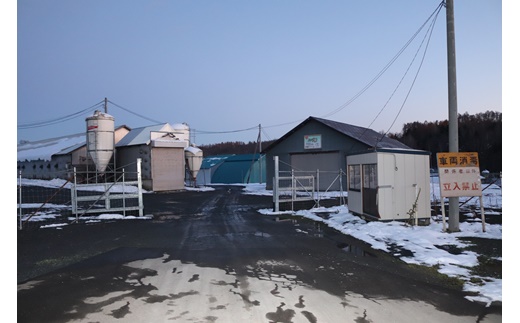 真狩産ハーブ豚　【厚切り1kg・薄切り1kg】計約2kg【05111】