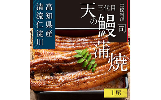 “土佐料理司”三代目天の鰻蒲焼1尾セット／「仁淀川」水系の地下水使用 完全無投薬養殖 国産・高知県産〈高知市共通返礼品〉うなぎ 真空パック （ウナギ・たれセット）