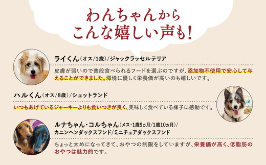 【GIBIEVERYシリーズ】ジューシージャーキー 5個セット ｜ 犬用、ペットフード、おやつ、ジビエ、ペット、PET、ジャーキー、カット、健康、栄養、高タンパク、低脂質、鉄分、ビタミン、通販、お取り