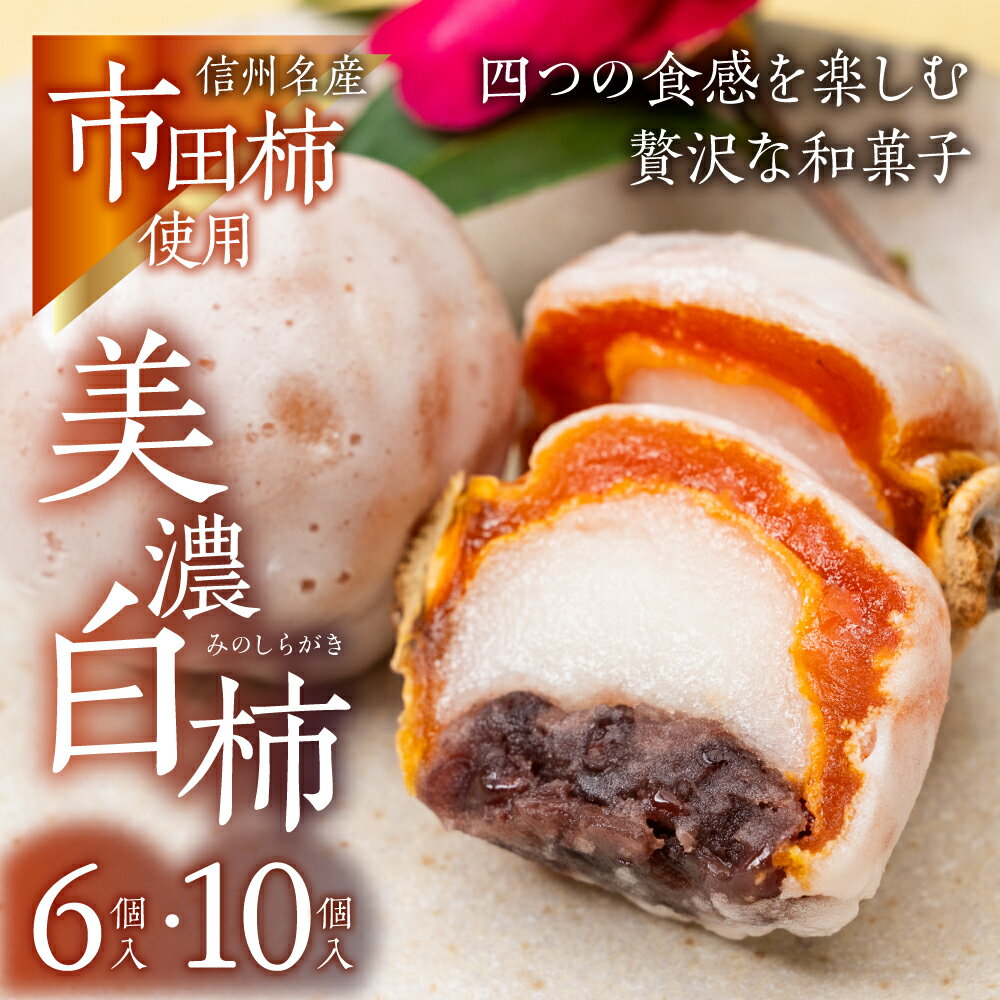 【ふるさと納税】美濃白柿 選べる 6個 10個 和菓子 銘菓 干し柿 おもち あんこ お餅 餅 こしあん 北海道小豆 寒天 干柿 干し柿 ブランド柿 長野県産 市田柿 和菓子 スイーツ おやつ 夏 お中元 御中元 プレゼント ギフト 美味しい おいしい 7000円 7千円 丸八屋 岐阜県 大垣市