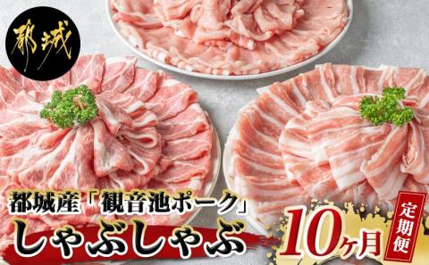 「観音池ポーク」しゃぶしゃぶ2.4kg定期便(10ヶ月)_T120（10）-7201