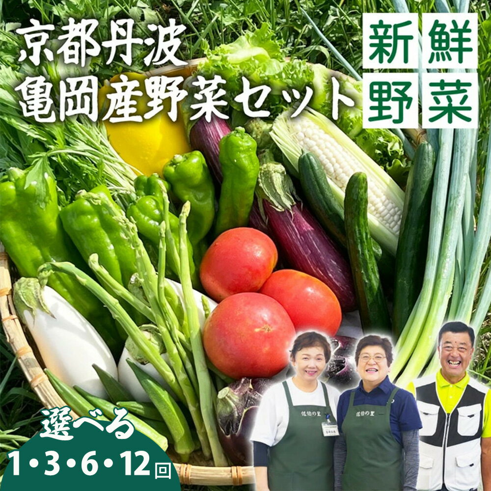 【ふるさと納税】【訳あり 生活応援 3/31迄 寄附額改定】高評価★4.6 野菜 定期便［選べる 1回 3回 6回 12回 毎月/隔月］京都佐伯の里 新鮮 旬の野菜セット 7～10品 丹波亀岡産 季節の野菜 詰め合わせ｜産地直送 お試し 3ヶ月 6ヶ月 12ヶ月 訳あり ふるさと納税 1万円以下