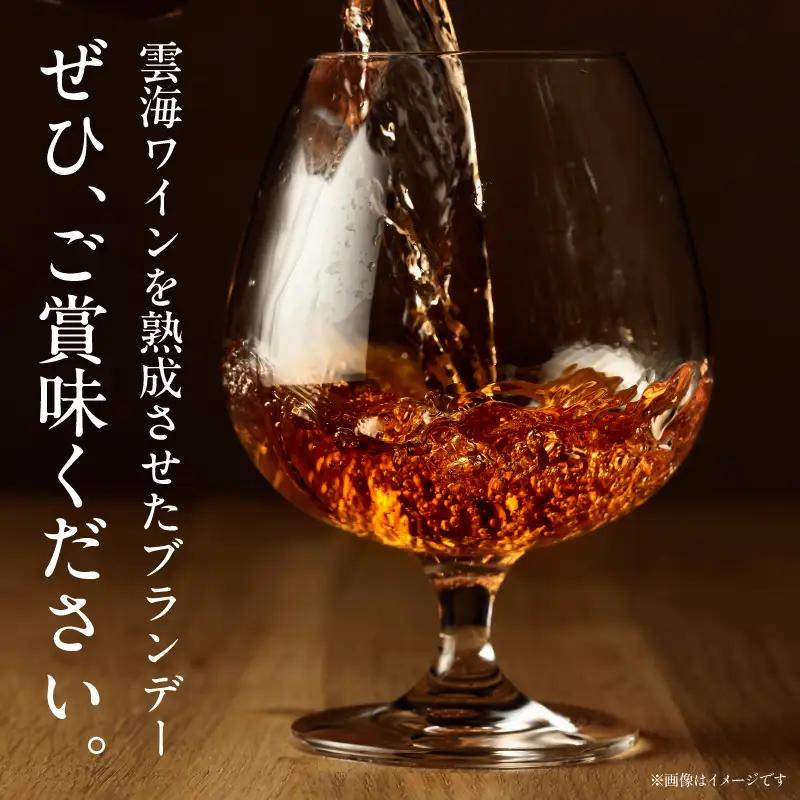 ブランデー 熟成 ブランデー[【最速便】雲海葡萄酒醸造所 500ml 国産 国産ブランデー 酒 洋酒 お酒 アルコール 果実酒 葡萄酒 蒸留 贈答用 贈り物 ギフト プレゼント 記念日 誕生日 イベン