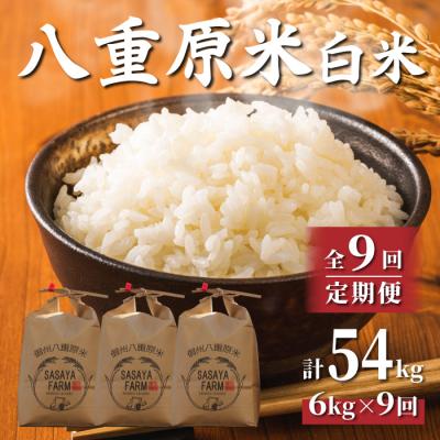 ふるさと納税 東御市 令和8年新米受付【9回定期便】八重原米6kg(2kg×3袋)白米※2026年10月以降発送|笹屋農園