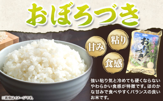 【2-8-49】令和6年度　当別産米食べ比べ10kg「ななつぼし・おぼろづき」
