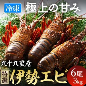 甘い!旨い!冷凍品とは思えない!活け〆リキッド冷凍伊勢海老(刺身用) 6尾で3kg【配送不可地域：離島】【1578265】