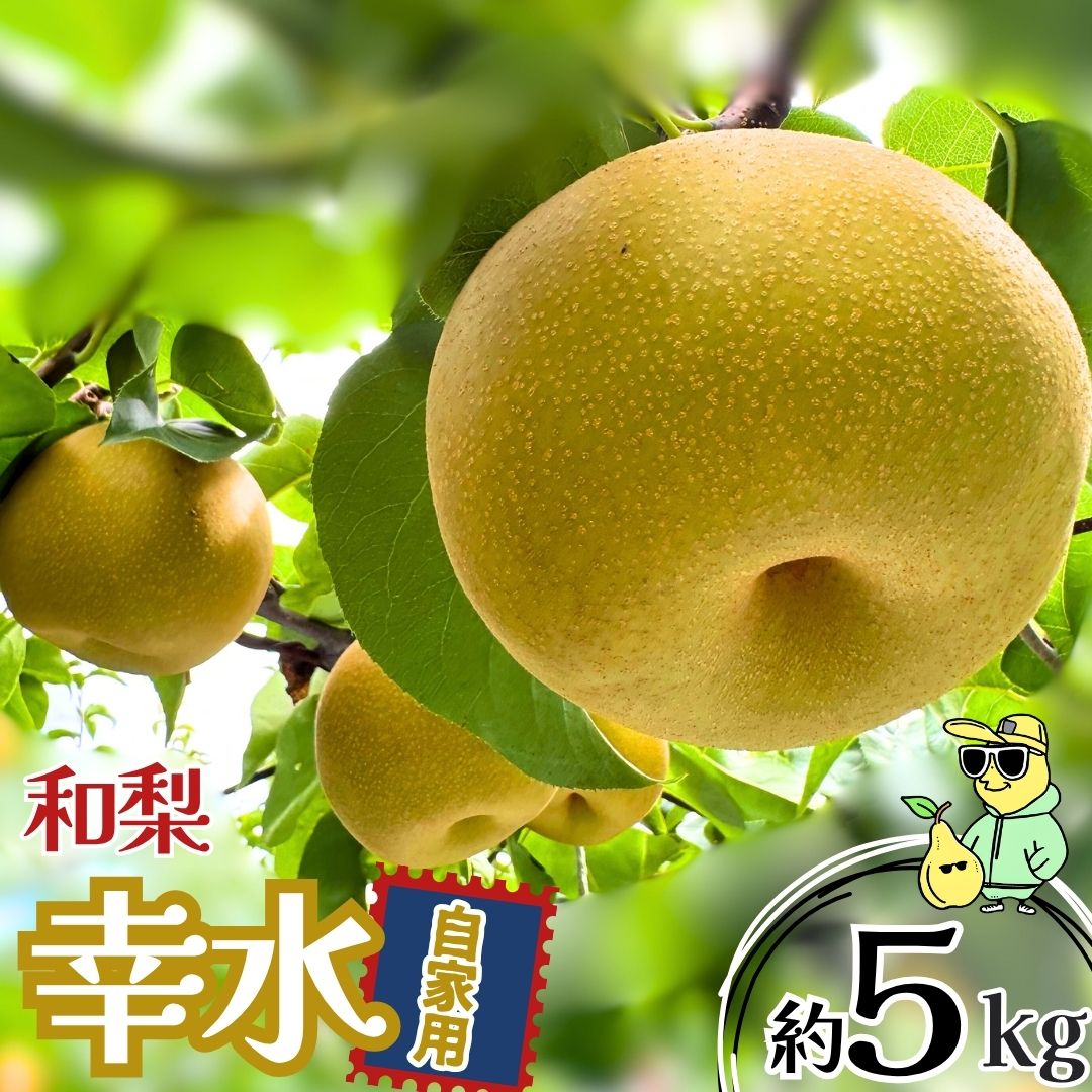 【ふるさと納税】幸水 自家用 約5kg 令和8年度 冷蔵 新潟フルーツ 新潟県産 梨 [三条ファームWIN] 【011S360】