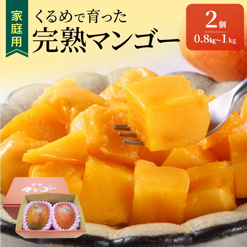 【2026年6月以降お届け】【家庭用】くるめで育った完熟マンゴー（2玉：約0.8～1kg）_【先行予約】 家庭用 くるめで育った 完熟マンゴー 2個 約0.8～1kg 甘い 子供も安心 果物 果実 スイーツ デザート マンゴー 国産 クール便 倉重農園 お取り寄せ お取り寄せスイーツ 福岡県 久留米市 送料無料_Fm016