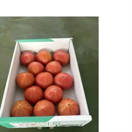 糖度9以上!極上フルーツトマト2kg(22～26玉)群馬県館林市産 数量限定 希少な「感動のトマト」【1740305】
