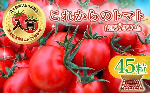 
                  Q0-01これからのトマト 45粒
                
