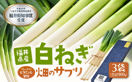 【先行予約】 ビタミンCと葉酸たっぷり「畑のサプリ白ネギ」食べきり3袋 【2026年11月以降順次発送予定】 長ネギ 長ねぎ 葱 長葱 白葱 野菜 [A-2613]