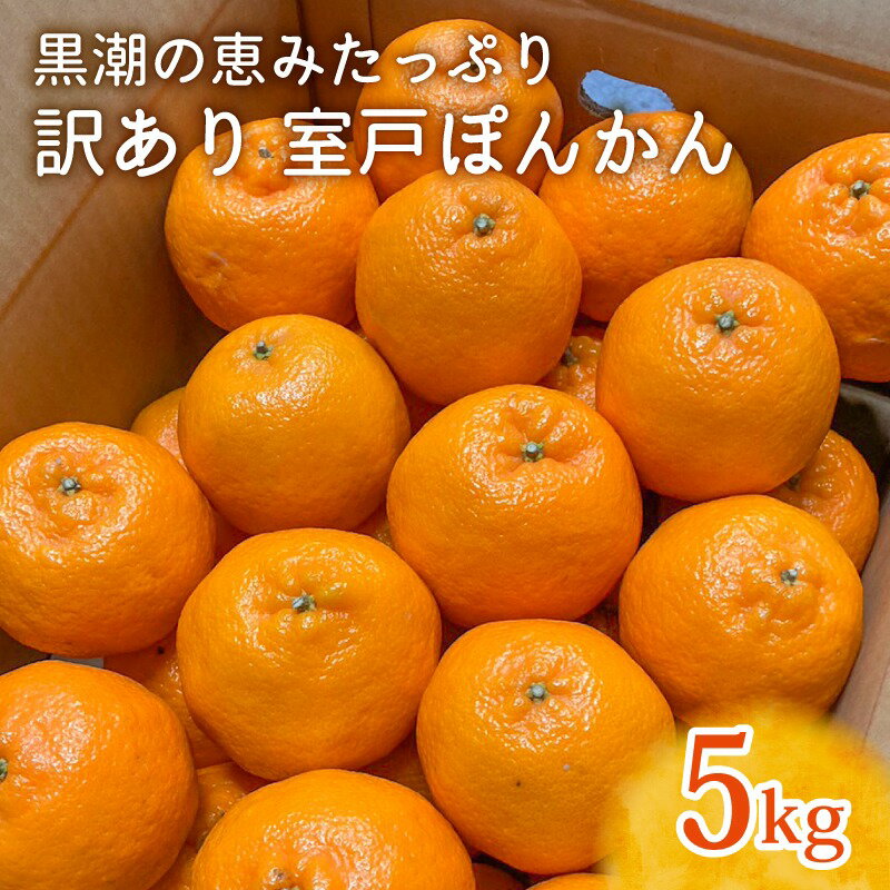 【ふるさと納税】【先行予約】優品 ぽんかん LLサイズ 5kg ｜ 農家直送 甘い 家庭用 数量限定 ポンカン 濃厚 柑橘 果物 みかん 蜜柑 旬 人気 高知県 室戸市 ふるさと納税