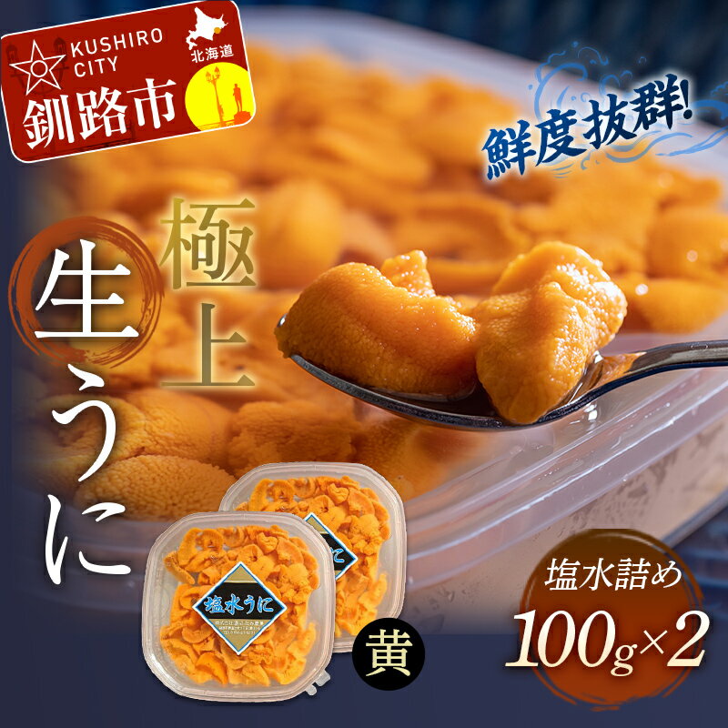 【ふるさと納税】【鮮度抜群！特選・極上えぞバフンうに【黄】】 塩水詰め 100g×2個 計200g 特選 生うに バフン うに ウニ 雲丹 ミョウバン不使用 エゾバフンウニ ウニ丼 海鮮 海鮮丼 魚介類 海産物 冷蔵 冷蔵配送 小分け ご飯のお供 グルメ 北海道 釧路市 送料無料