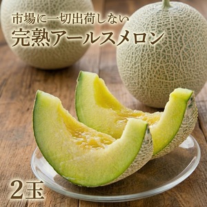 【先行予約】アールスメロン 2玉 完熟 高級メロン 果物 フルーツ マスクメロン ギフト 