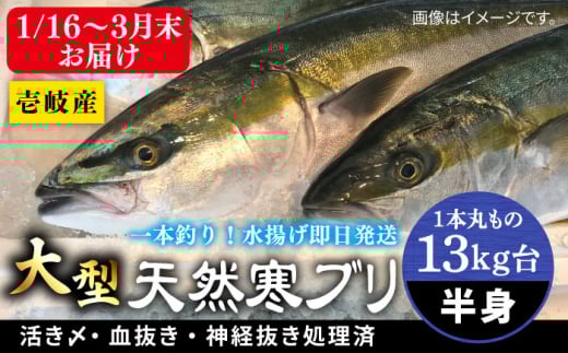 【13キロ台】 【1月16日〜3月末お届け】壱岐島産天然寒ブリ（一本丸ものサイズの半身ブロック） 《壱岐市》【壱岐島　玄海屋】[JBS120]  ぶり 寒ぶり ブリ 魚 刺身 しゃぶしゃぶ 
