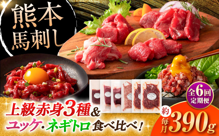 
            【全6回定期便】「本場・熊本の味」 上級赤身3種とユッケネギトロの詰め合わせ 3892【株式会社フジチク】 [BHAD070]
          