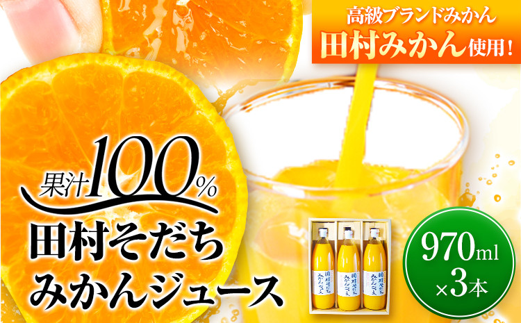 
果汁100% 田村そだちみかんジュース 970ml×3本 株式会社魚鶴商店《30日以内に出荷予定(土日祝除く)》 和歌山県 日高町 みかんジュース ジュース 田村そだち
