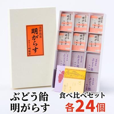 ふるさと納税 遠野市 明がらす・ぶどう飴 各24個(計48個)食べ比べセット 岩手県遠野市 竹林堂