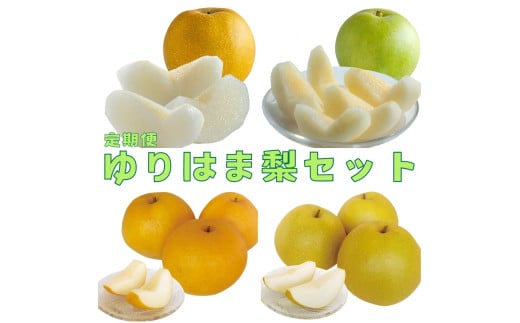 15MS.【2026年先行受付】ゆりはま梨セット