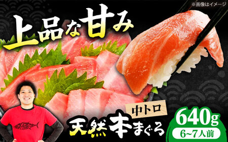 たね熟天然本まぐろ中トロ(640g)[AOCE010]まぐろ まぐろ まぐろ まぐろ まぐろ まぐろ