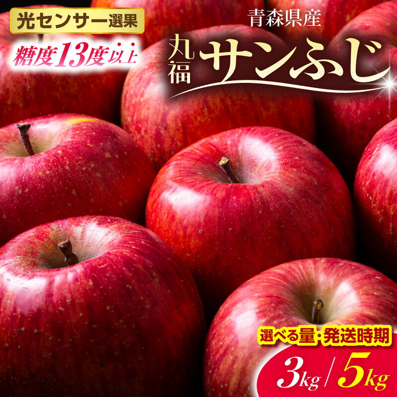 【ふるさと納税】 糖度13度以上 サンふじ 丸福 りんご ( 内容量が選べる : 3kg 5kg / 配送時期が選べる : 11月～3月 ) 無袋 光センサー 選果 秋 旬 フルーツ 常温保存 年内発送 年内配送 12月 1月 2月 3月 青森県 五所川原市 林檎 送料無料 リンゴ 訳あり 以上