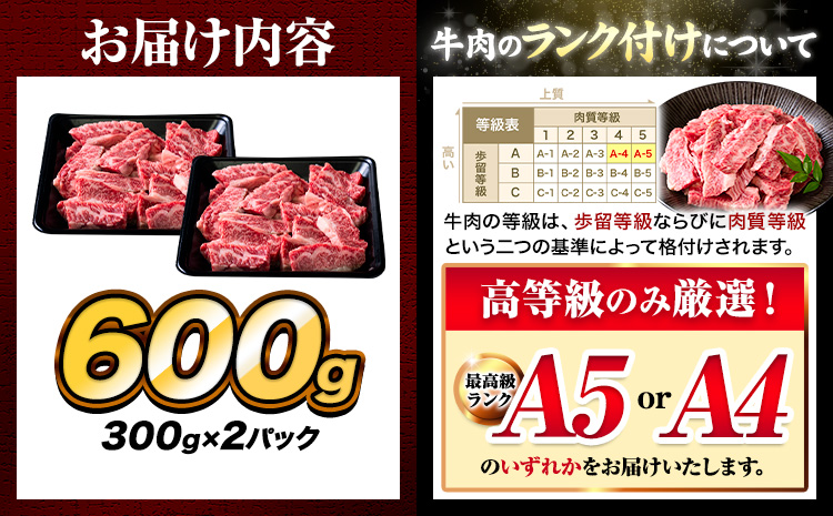 牛肉 A4～A5等級 黒毛和牛 切り落とし くまもと黒毛和牛 上 カルビ 焼肉切り落とし 600g 《60日以内に出荷予定(土日祝除く)》熊本県 長洲町 上カルビ 焼肉用 焼肉 肉 お肉 和牛 A5 
