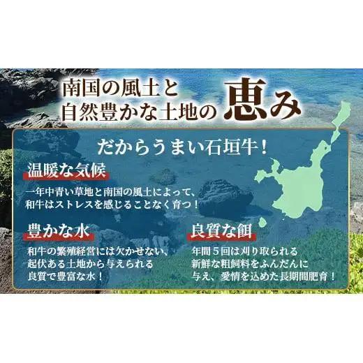 石垣牛 ハンバーグ 100g10個