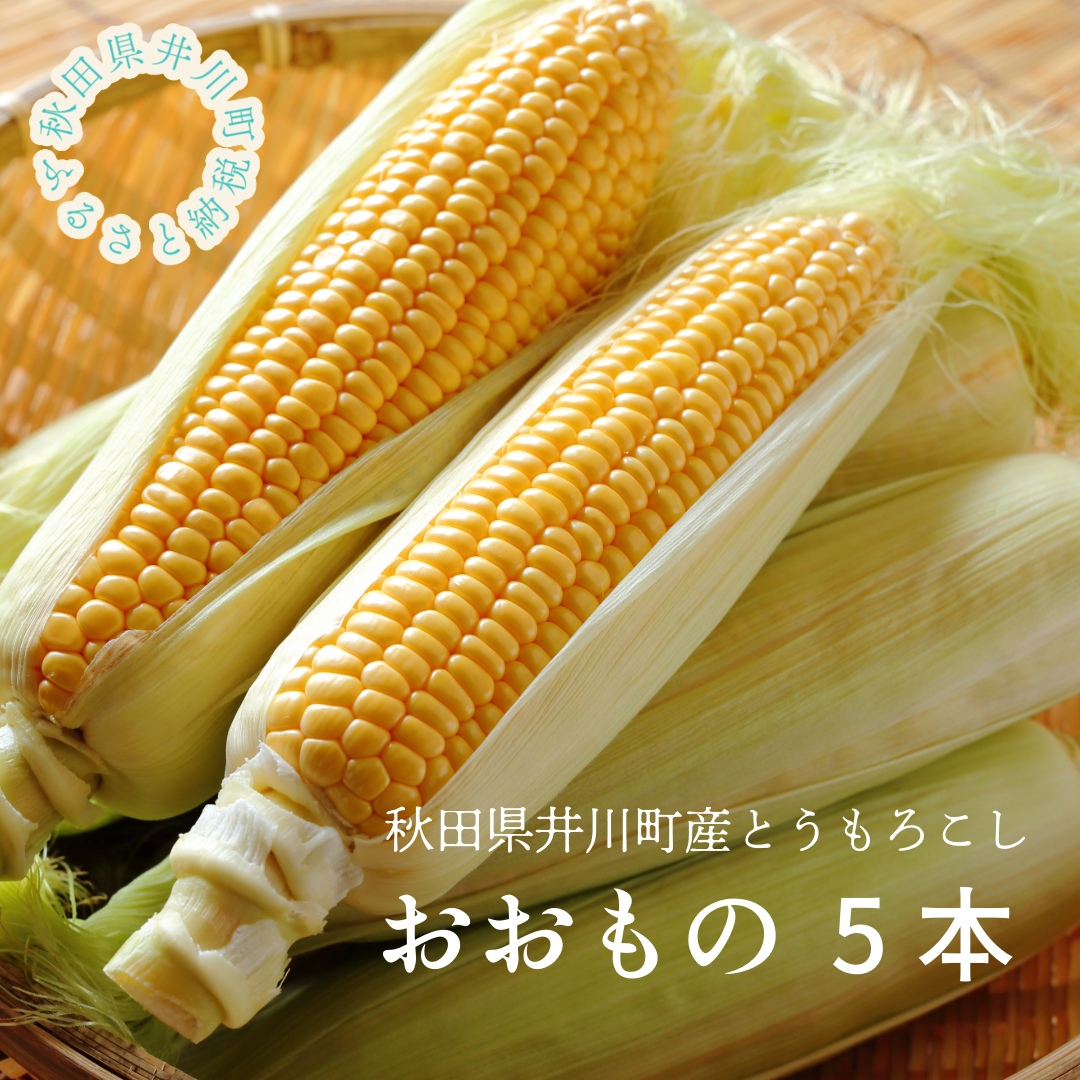 【令和７年分先行受付】とうもろこし　5本　秋田県井川町産　つかまファーム