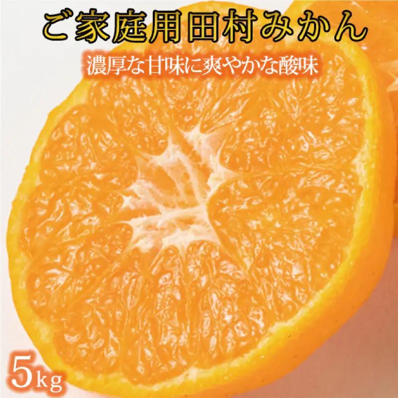 【ご家庭用訳あり】田村みかん　5kg ※2026年11月下旬～2027年1月下旬頃に発送（お届け日指定不可）（お届け日指定不可）訳ありみかん 温州みかん【uot754A】