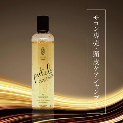 ふるさと納税 富田林市 プテロ　ARシャンプー　グランディール　300ml